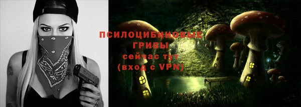 герыч Арсеньев