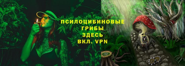 герыч Арсеньев