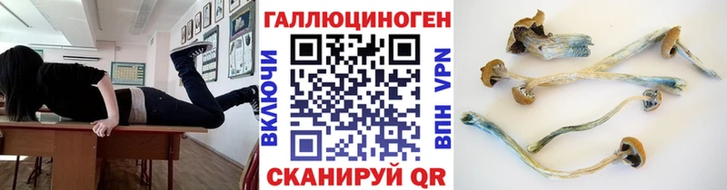 Псилоцибиновые грибы Psilocybe даркнет Telegram Пошехонье
