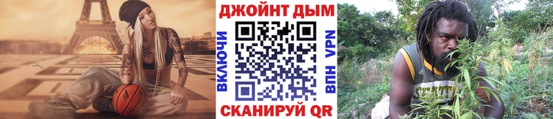Бошки Шишки SATIVA & INDICA  мориарти формула  Пошехонье  магазин  наркотиков 